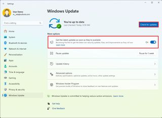 Windows 11 install preview updates