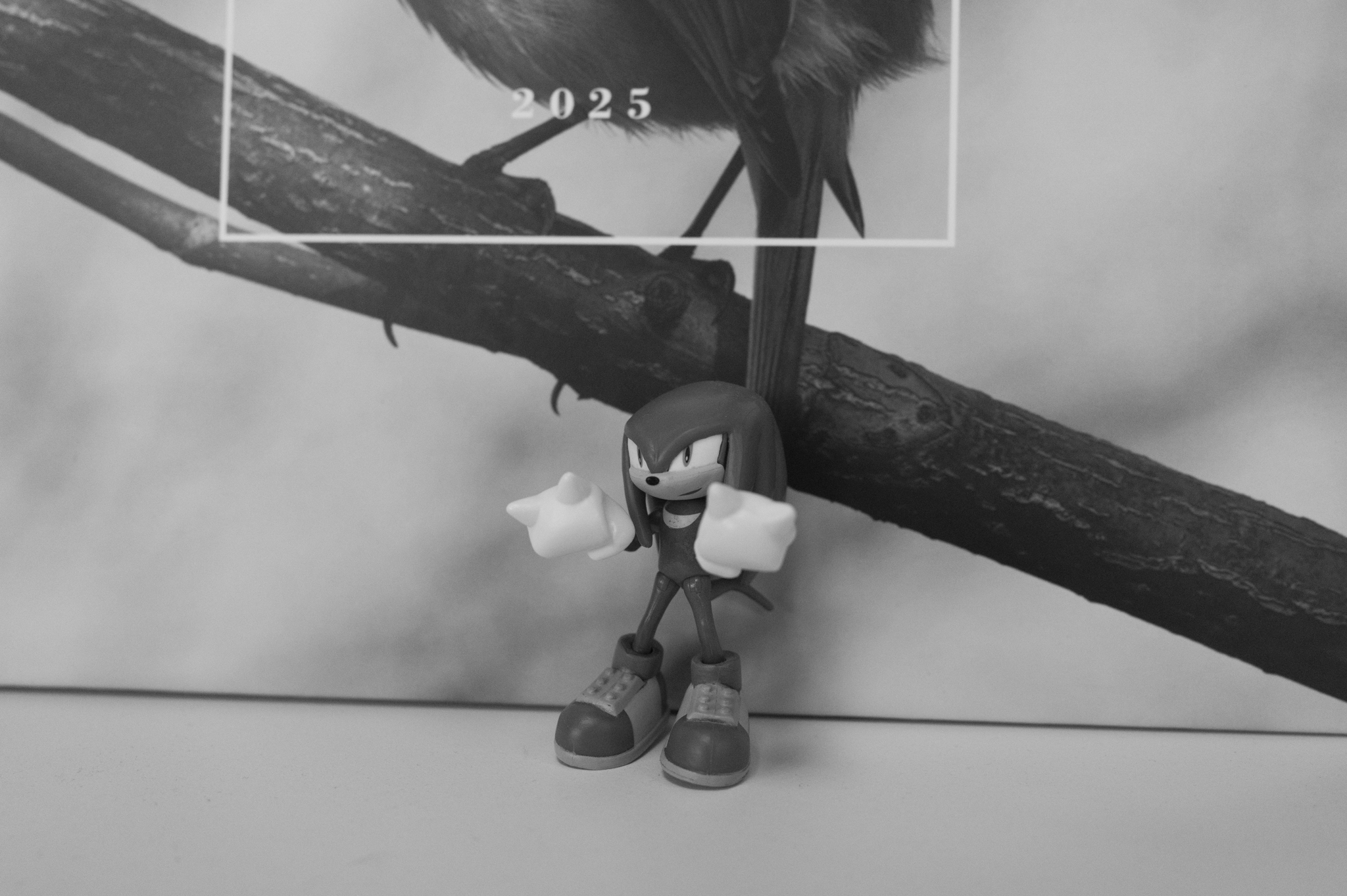 A photo taken on a Leica Q3 Monochrom black-and-white camera