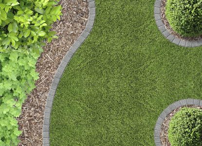 Landscape Design With Grass Brick Mulch And Plants