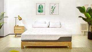 Valmori Hybrid II mattress in lifestyle bedroom setting with pot plant and lamp on one side