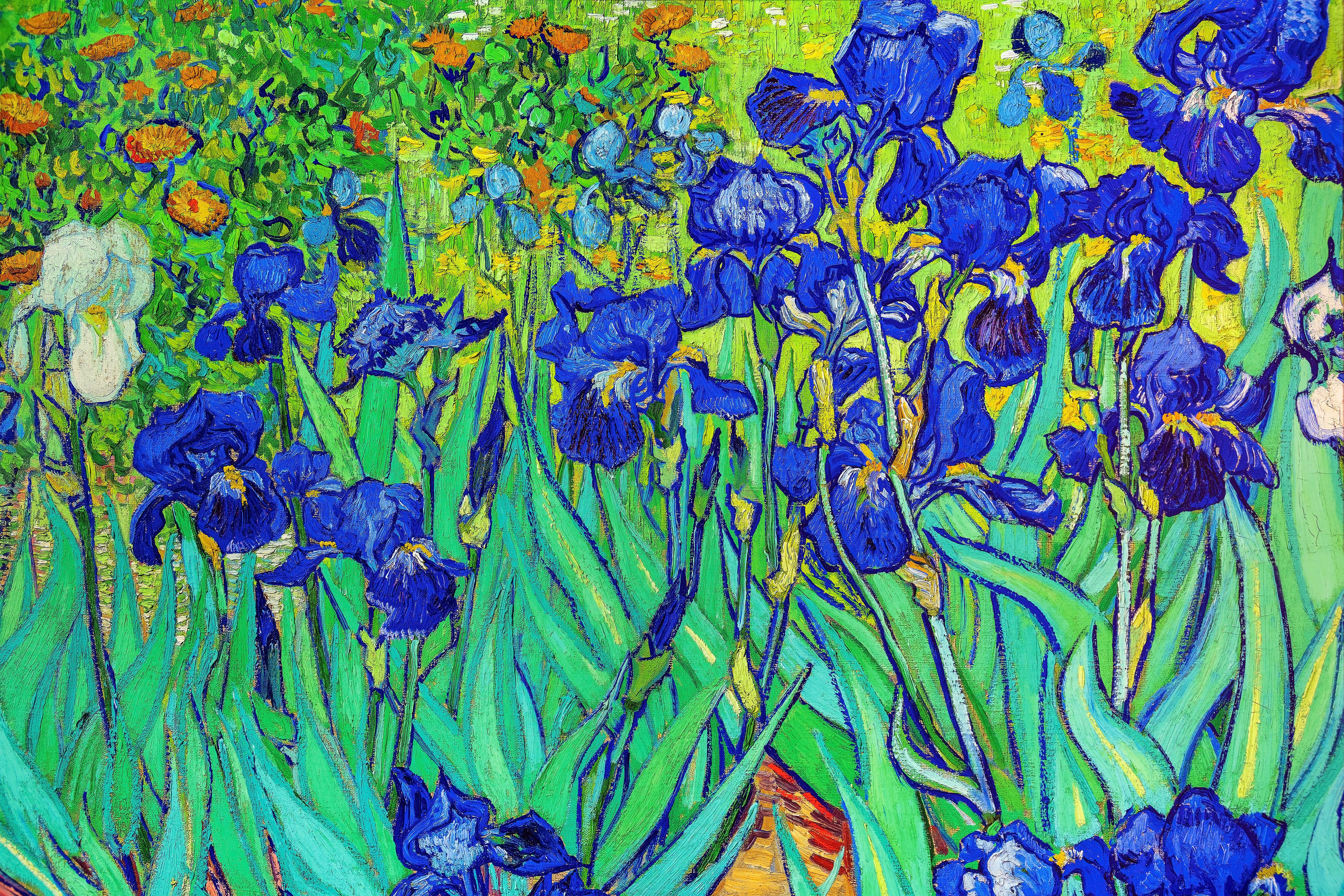  Irises, Vincent van Gogh painting