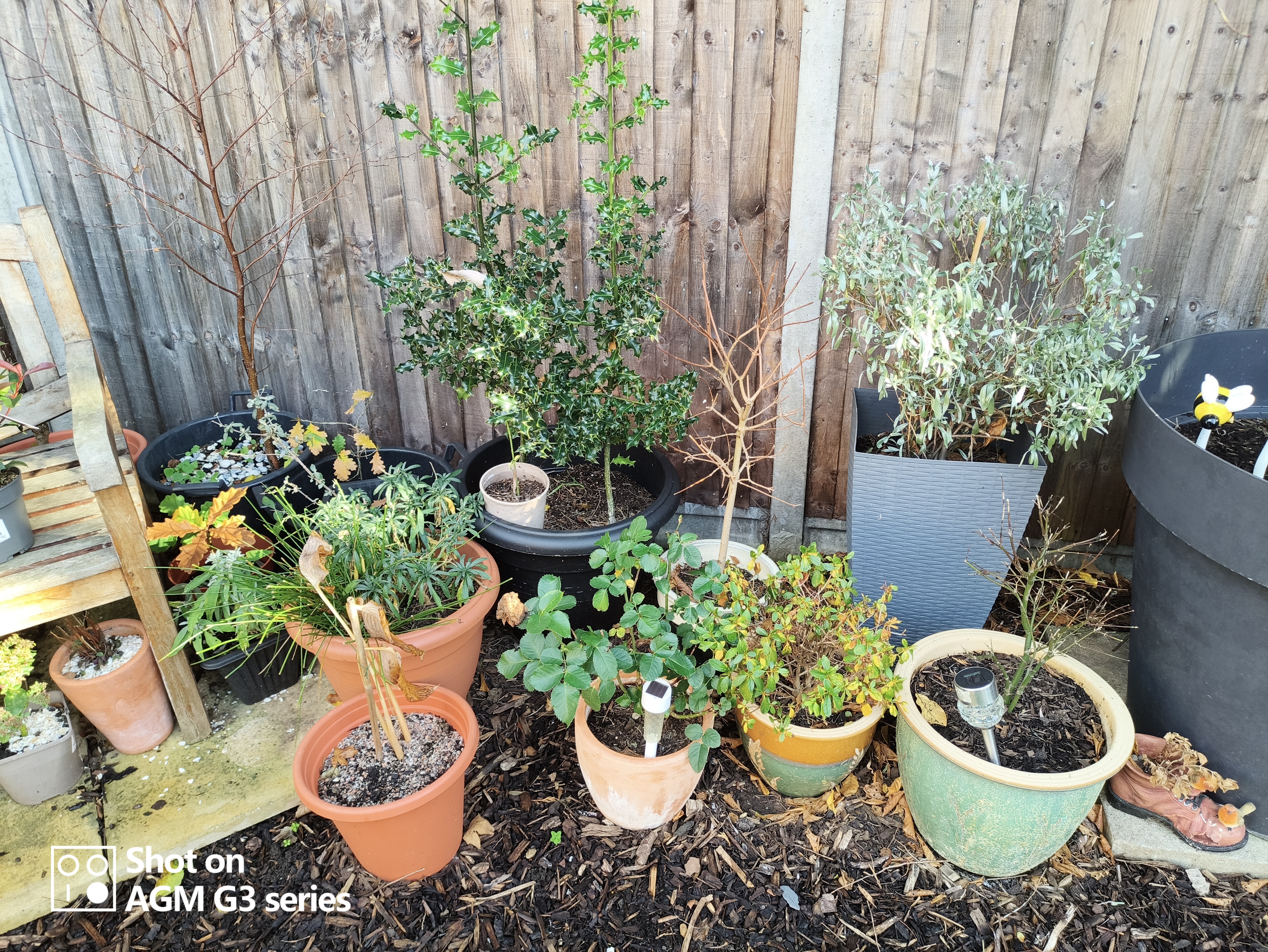 AGM G3 Pro photo and thermal examples