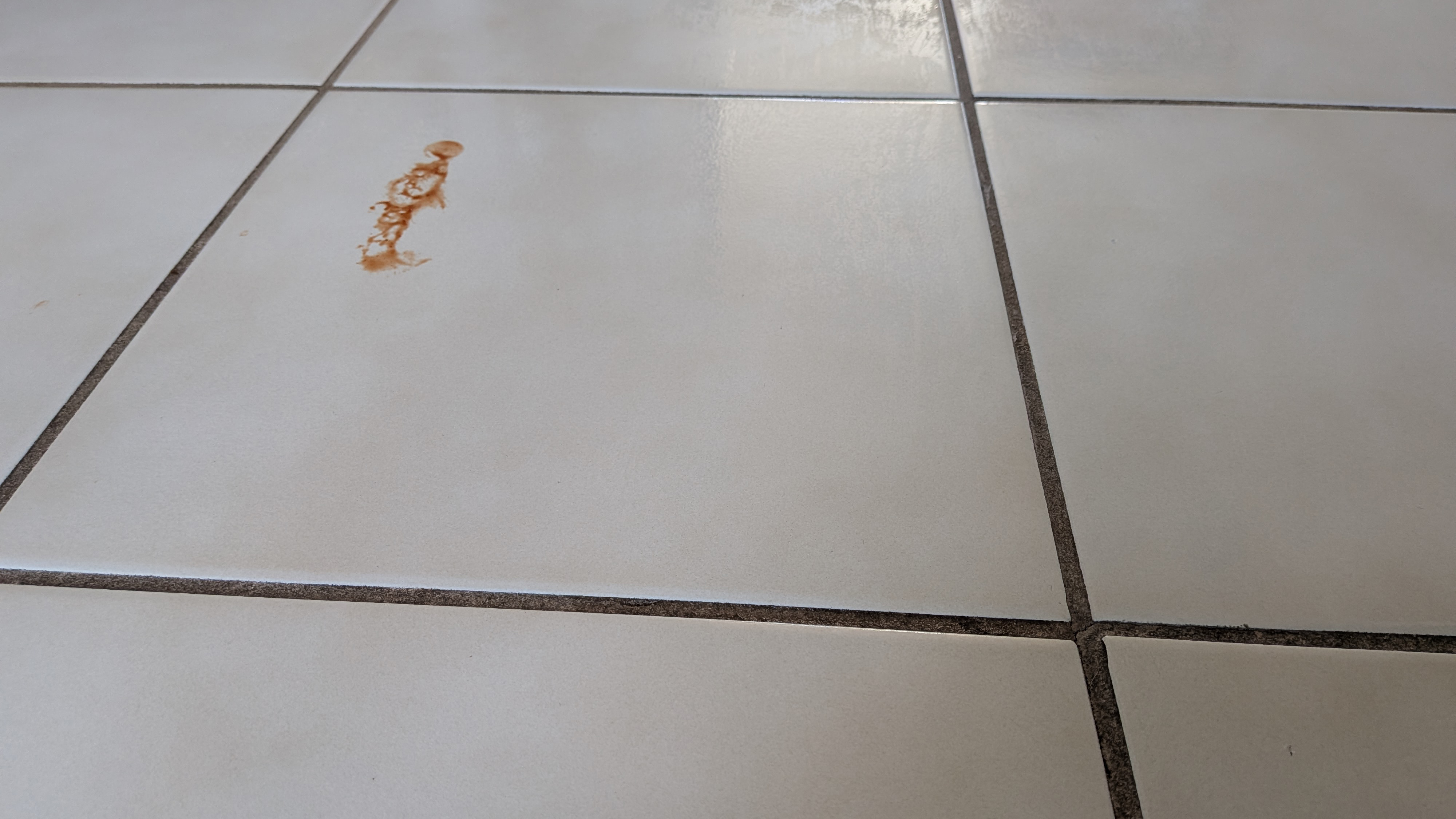 Remnant of ketchup on a tiled floor during the mopping test