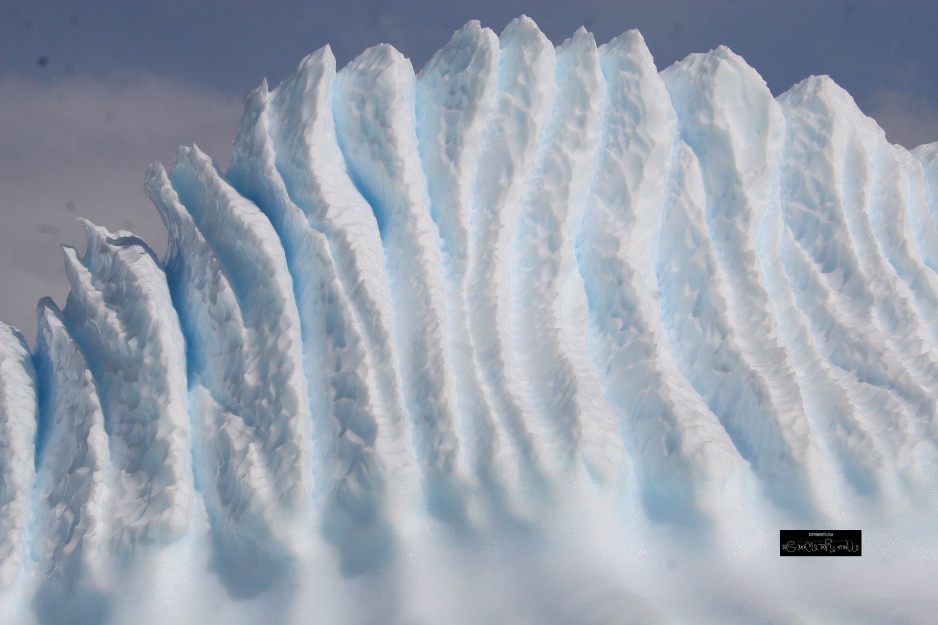 GuruShots - February 2026