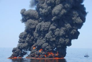 controlled burn of oil from the Deepwater Horizon spill.