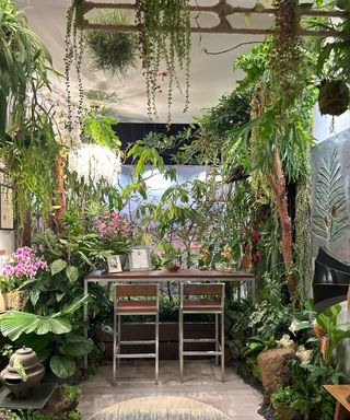 A city apartment decorated with houseplants on all levels