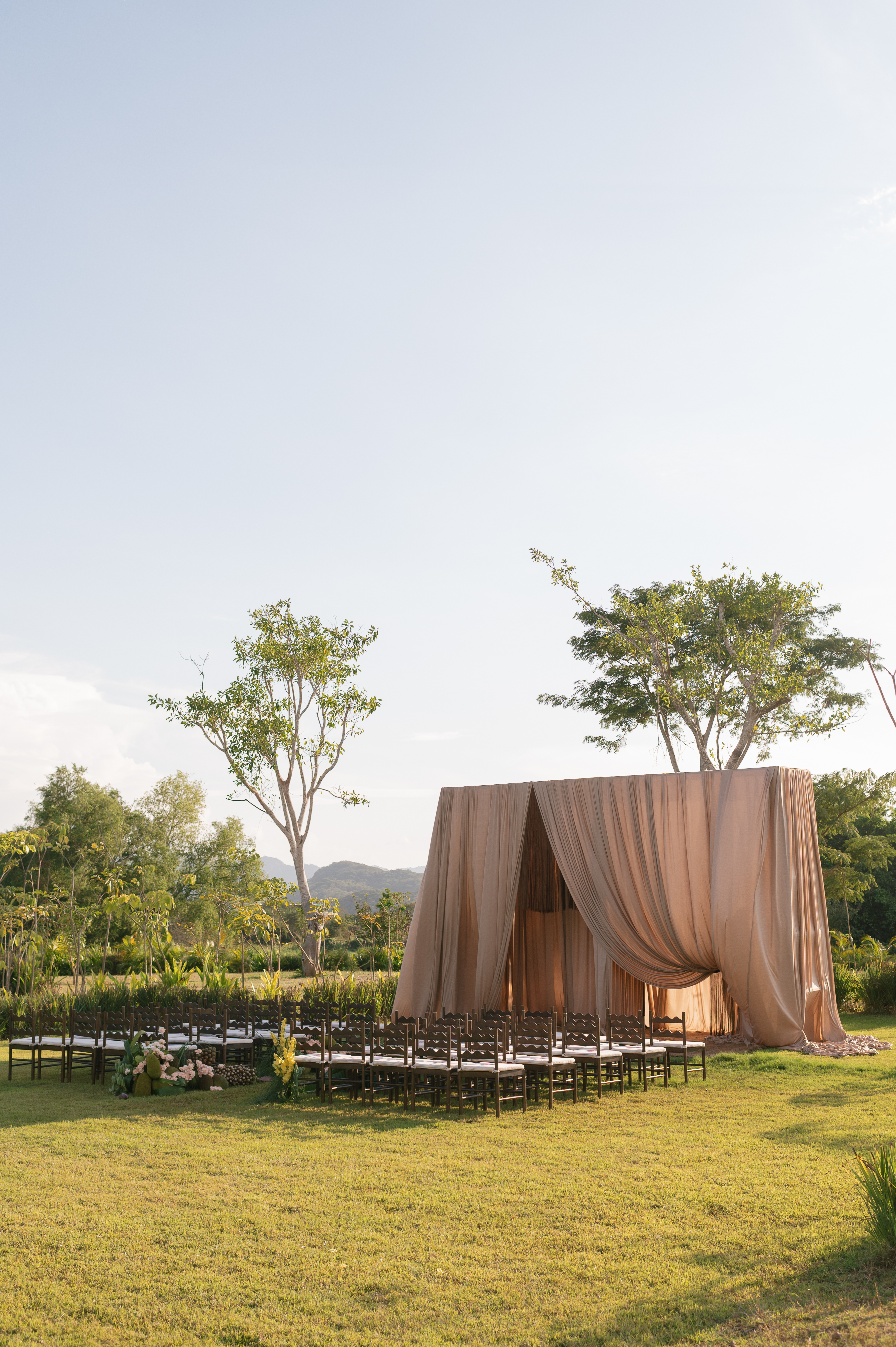 A sun-lit wedding reception area styled in a park with black chairs and a drape-covered podium in an earthy tone.