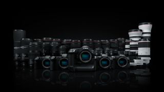 The entire Canon EOS R system, including bodies and lenses