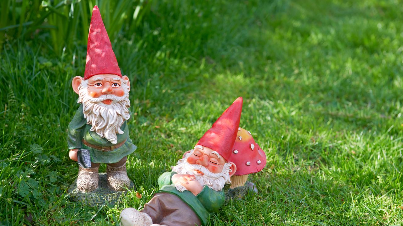 Two garden gnomes on field of grass