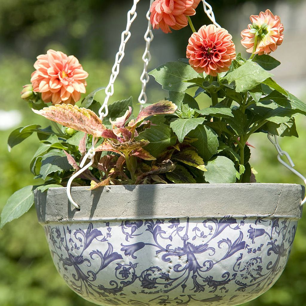 6 of the best hanging baskets Ideal Home