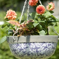 blue and white ceramic hanging basket with pink flowers