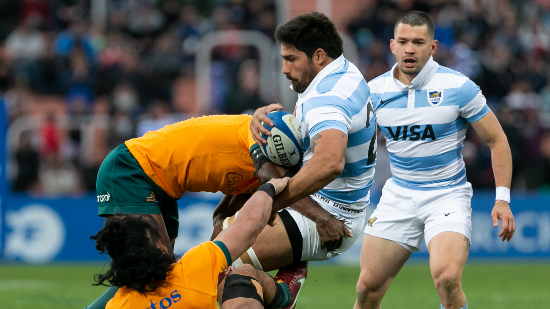 How to watch Australia vs Argentina live stream Rugby Championship 2023 TechRadar