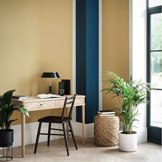 best colour combinations, ochre and navy, Table with chair and potted plant