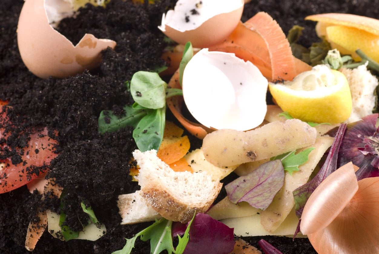 The Compost Chopper Pulverizes Vegetable Scraps 