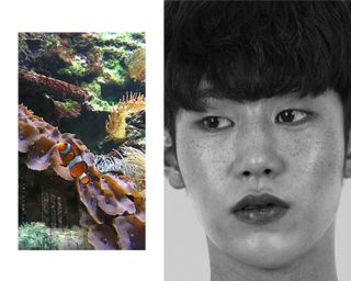 Sul Youngjoo photograph shortlisted for Dior Photography and Visual Arts Award for Young Talents 2022