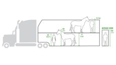 United States double-deck horse trailers Animal Welfare Institute