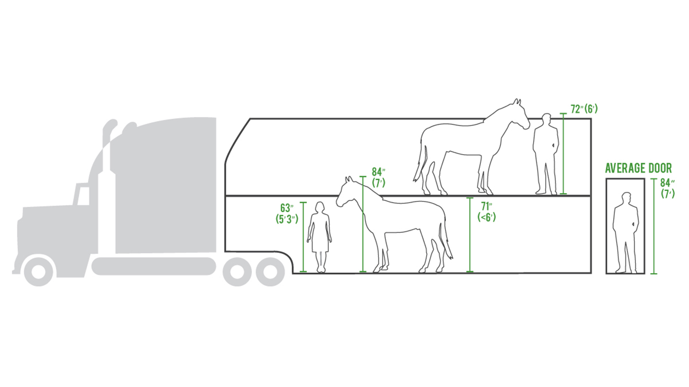 United States double-deck horse trailers Animal Welfare Institute