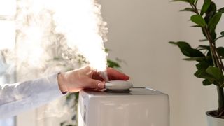 Best humidifiers: Person using a humidifier