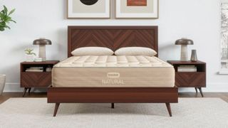 The Bear Natural mattress pictures on a wooden bed frame in a neutral bedroom