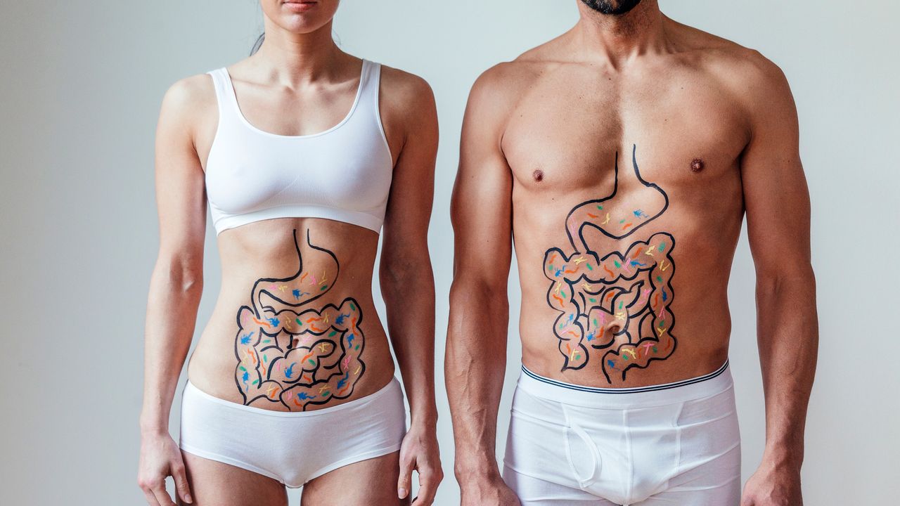 Gut health 