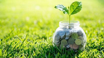A clear jar of coins with a sprout coming out the top sits on green grass.