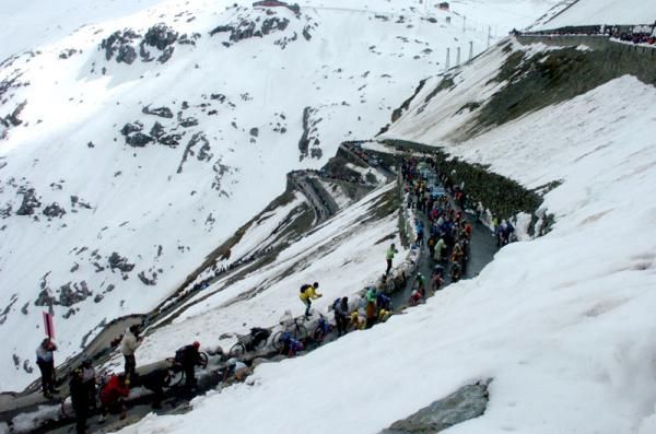 The peloton racing up the Stelvio in 2005