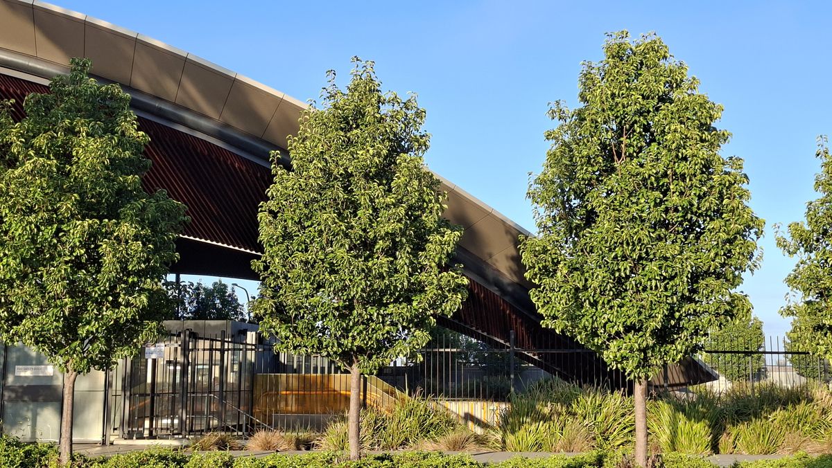 Samsung Galaxy A56 camera samples