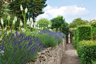 cottage garden path ideas: lavender and wall