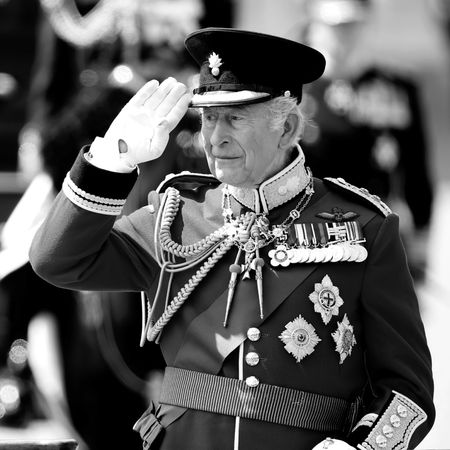 King Charles saluting in a military uniform