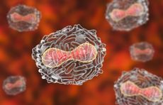 The variola virus (illustrated here) causes the highly contagious smallpox infection, which was declared eradicated in 1980.