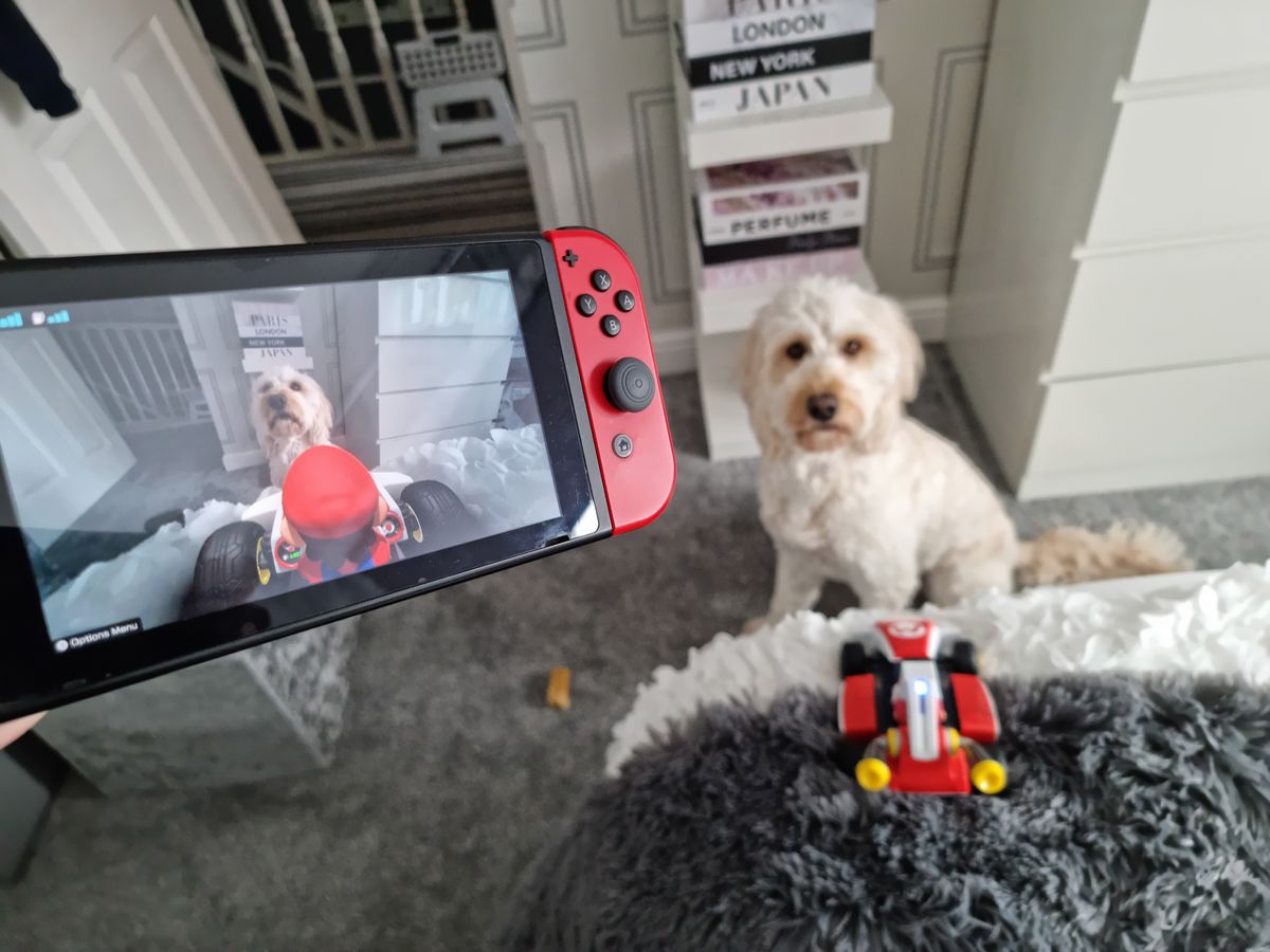 Mario Day 10 March 2023