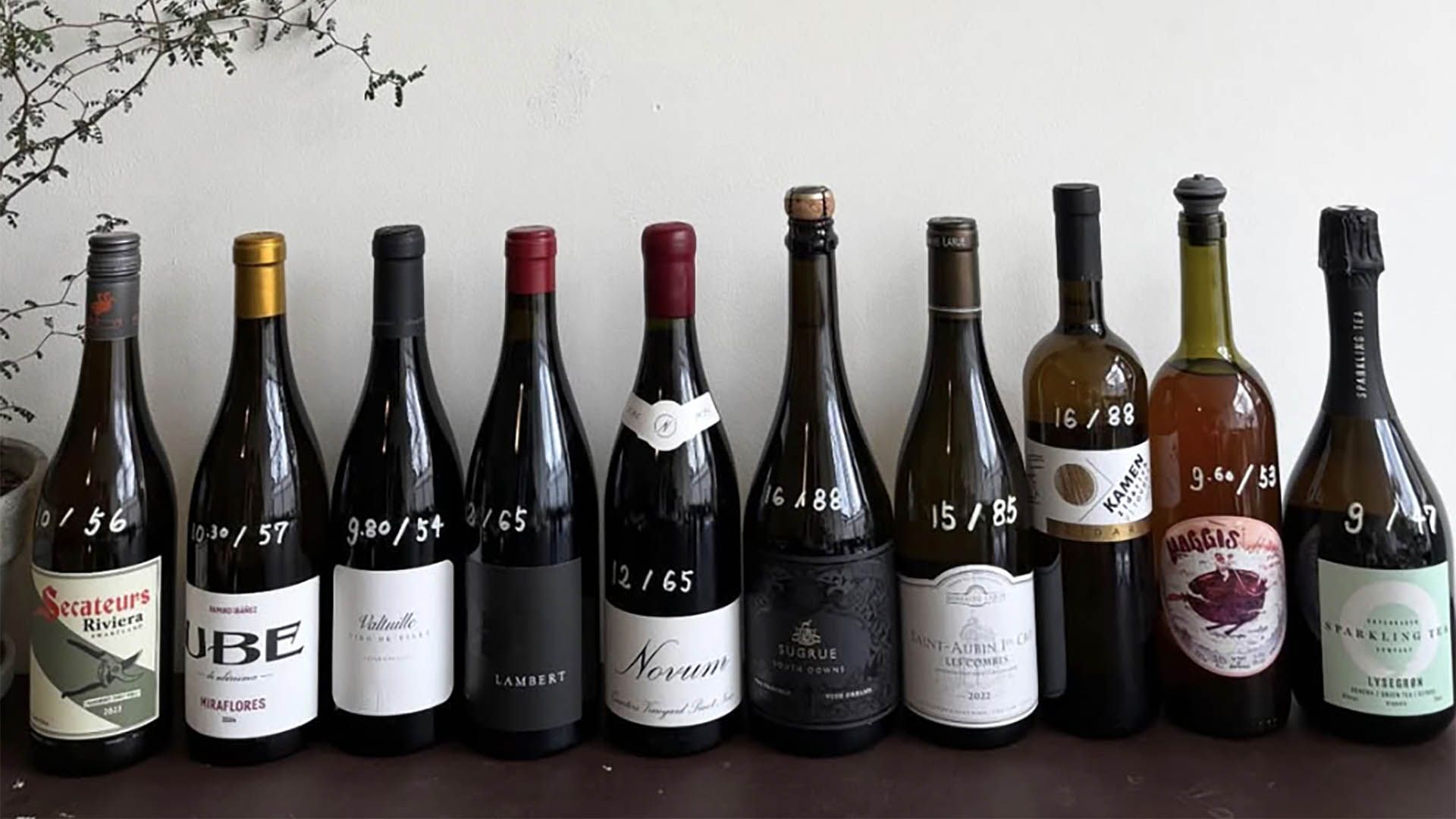 Clerkenwell Ebi Wines wine bar announces opening date