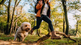 Woman and white dog jumping over a branch in a forest