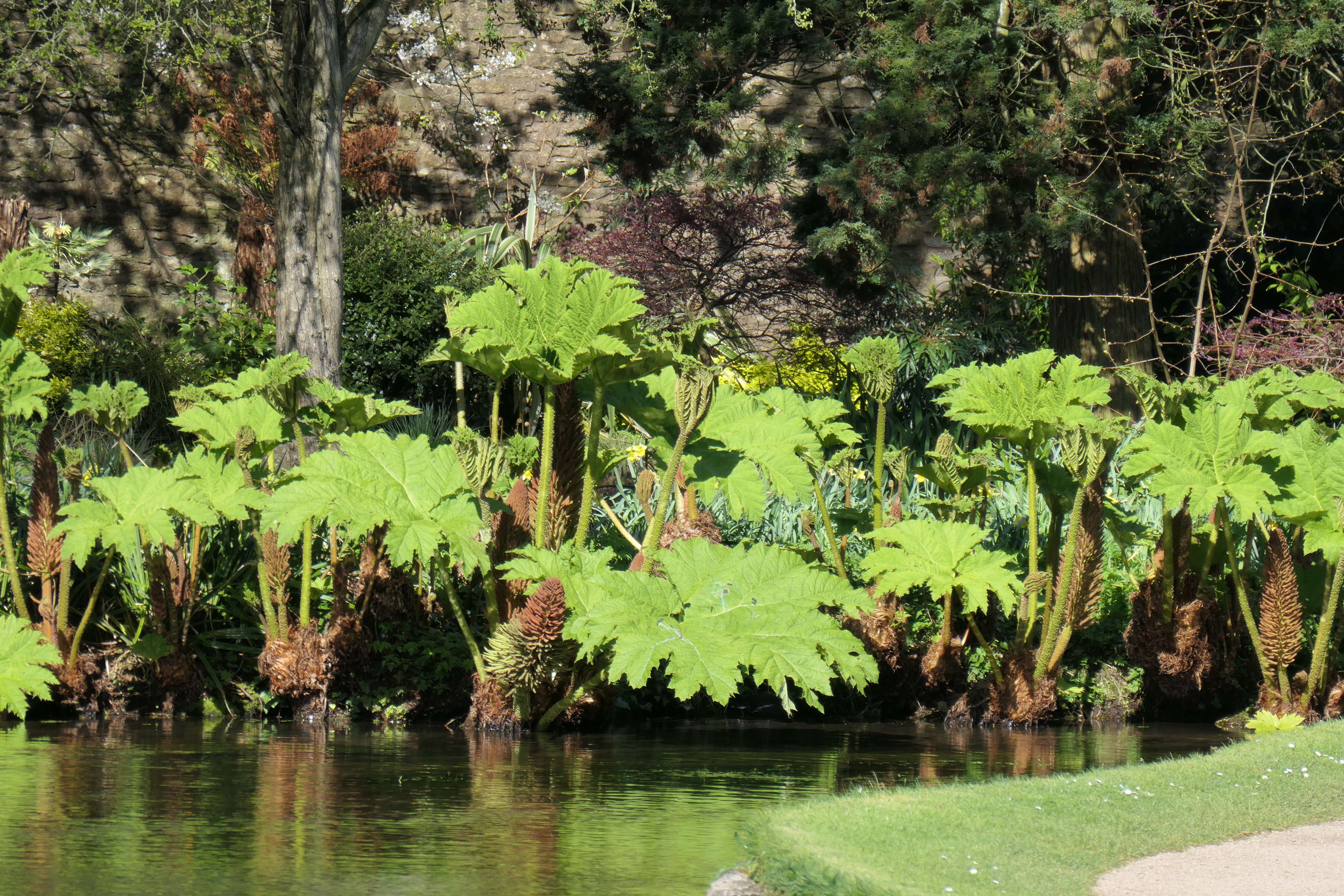 Panasonic Lumix ZS300 / TZ300 sample image