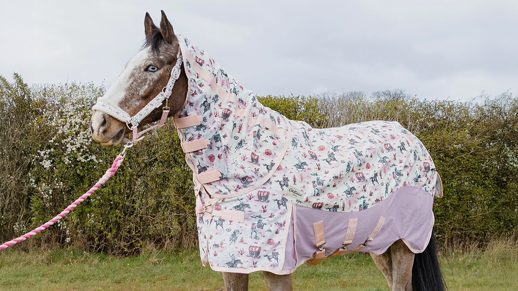 Horse in field wearing the Cath Kidston Equestrian rug and headcollar