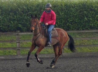Jason riding Bryony Whittington's Carter