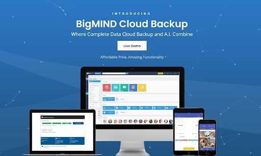 Zoolz BigMIND's homepage