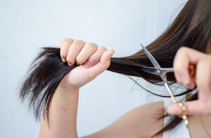 extreme post lockdown haircut trends