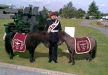 parachute-regiment-shetland-mascots.jpg