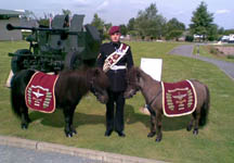 parachute-regiment-shetland-mascots.jpg
