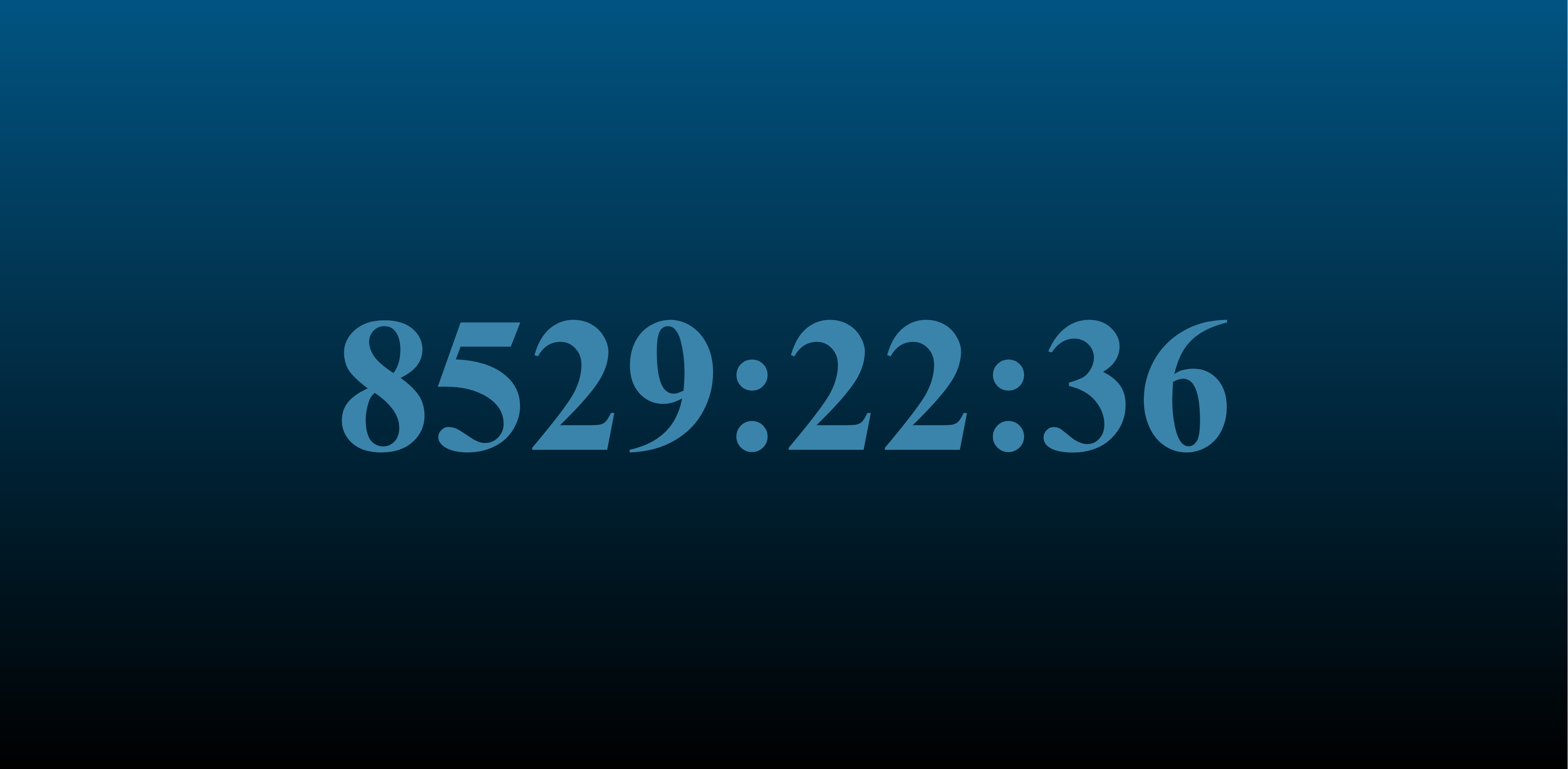 Ecco the Dolphin countdown timer with 8,529 hours remaining