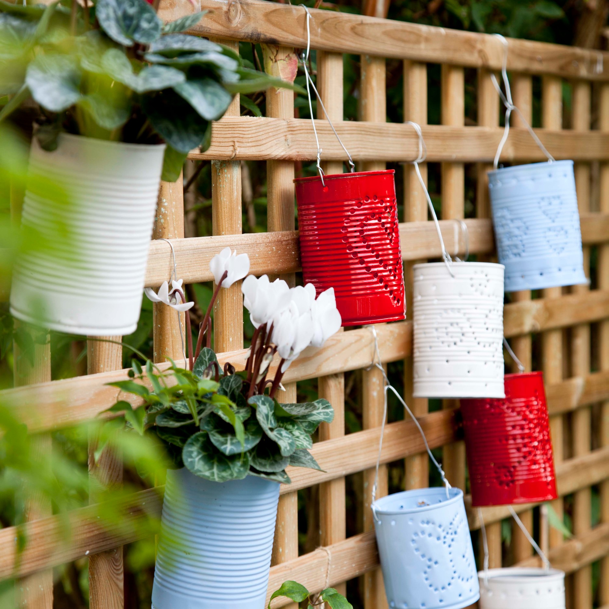 A trellis fence with lights and planters made out of tins