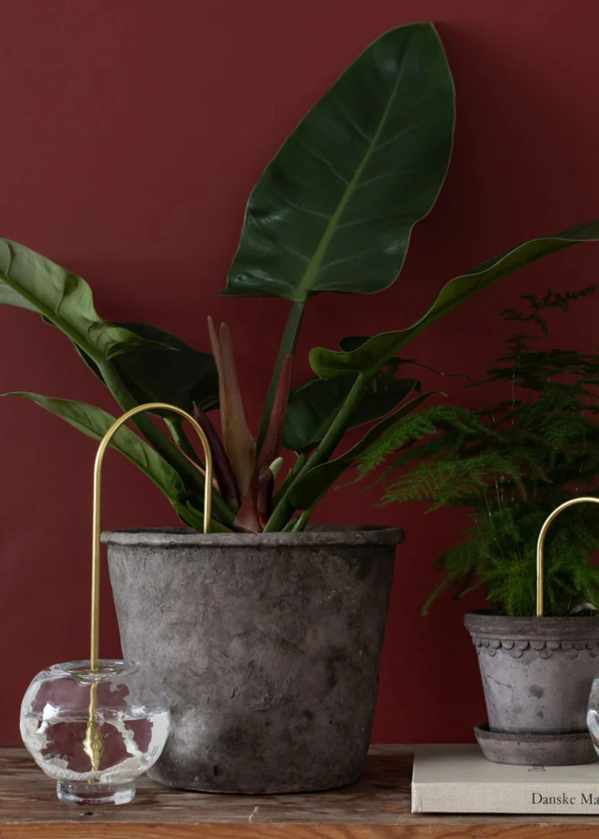 A potted plant with a plant straw