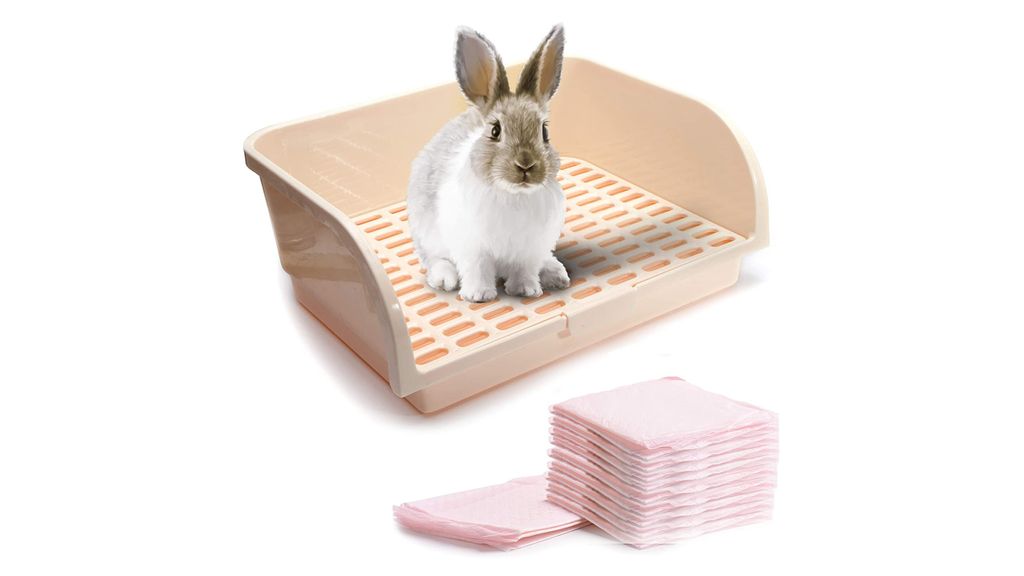 Best rabbit litter box Keep your pet and your home clean PetsRadar