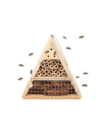 Amazon triangular bee hotel Amazon triangular bee hotel
