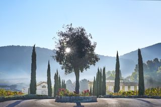 Château La Coste’s surroundings