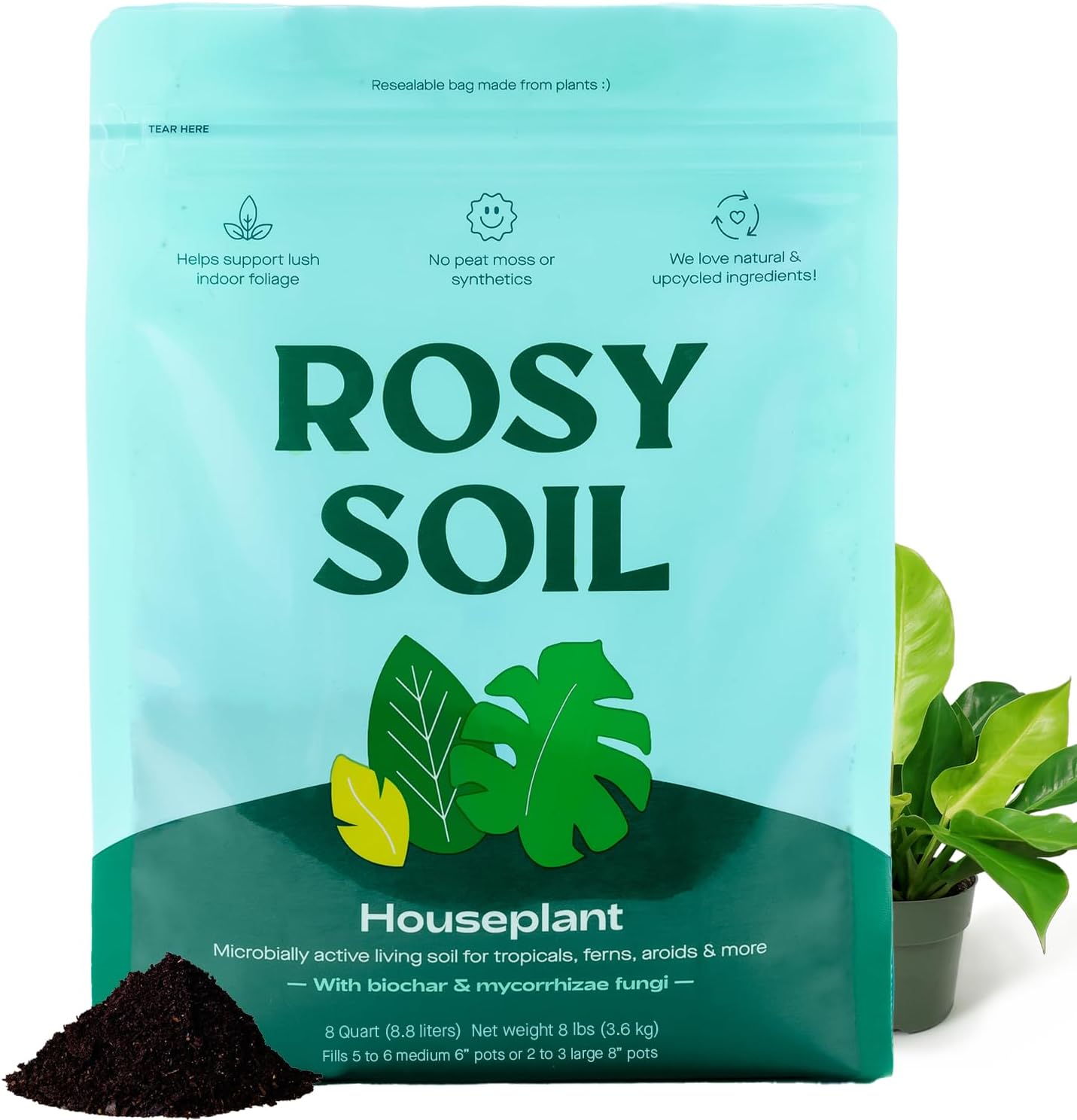 Rosy Soil Indoor Potting Soil for House Plants - Organic Potting Soil Mix for Indoor Plants - Enriched W/root-Boosting Biochar for Foliage Plants, Flowers, Herbs - Peat Free, Less Prone to Gnats - 8qt