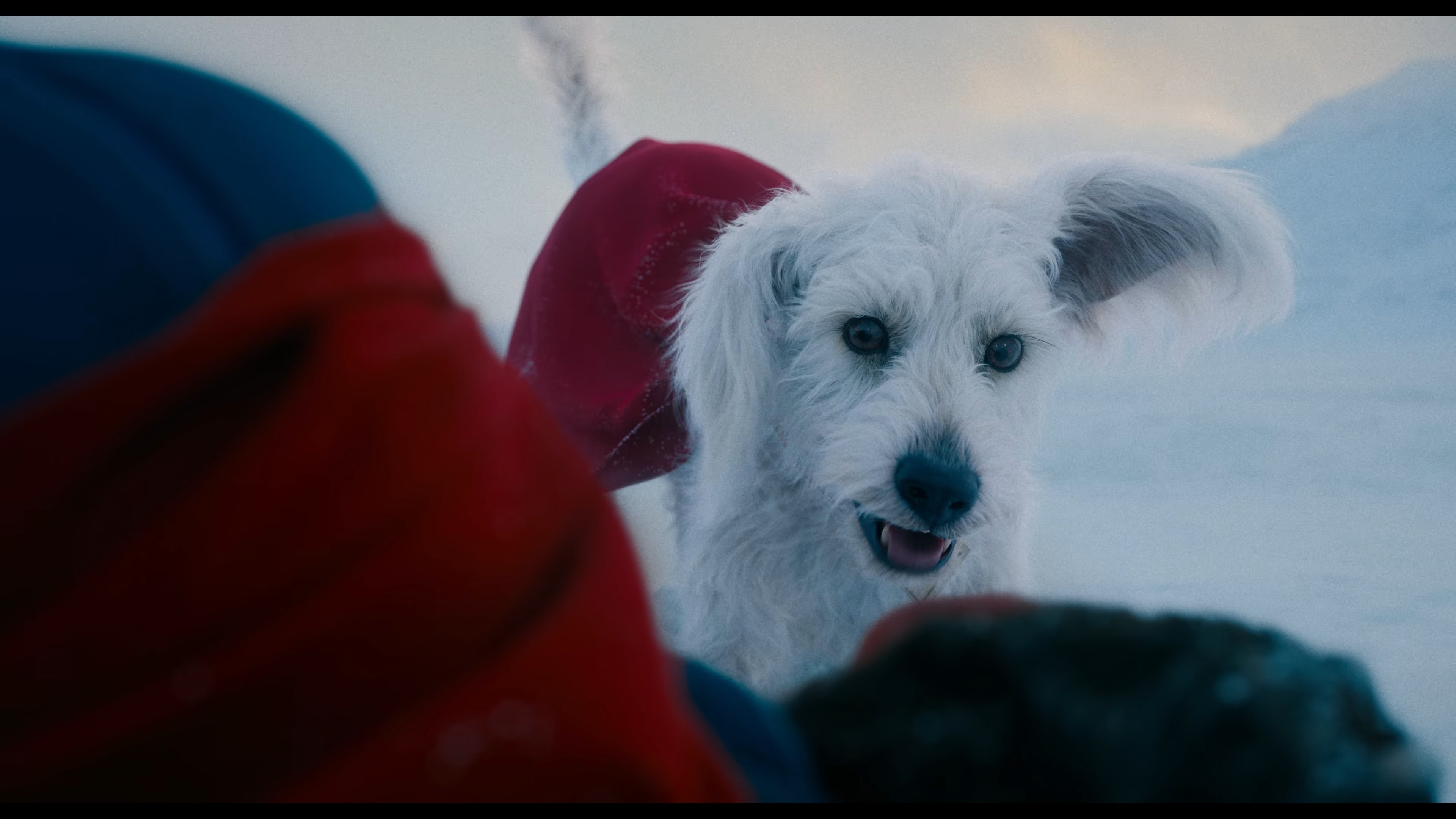 Is it a bird? Is it a plane? No, it’s the Superman trailer!
