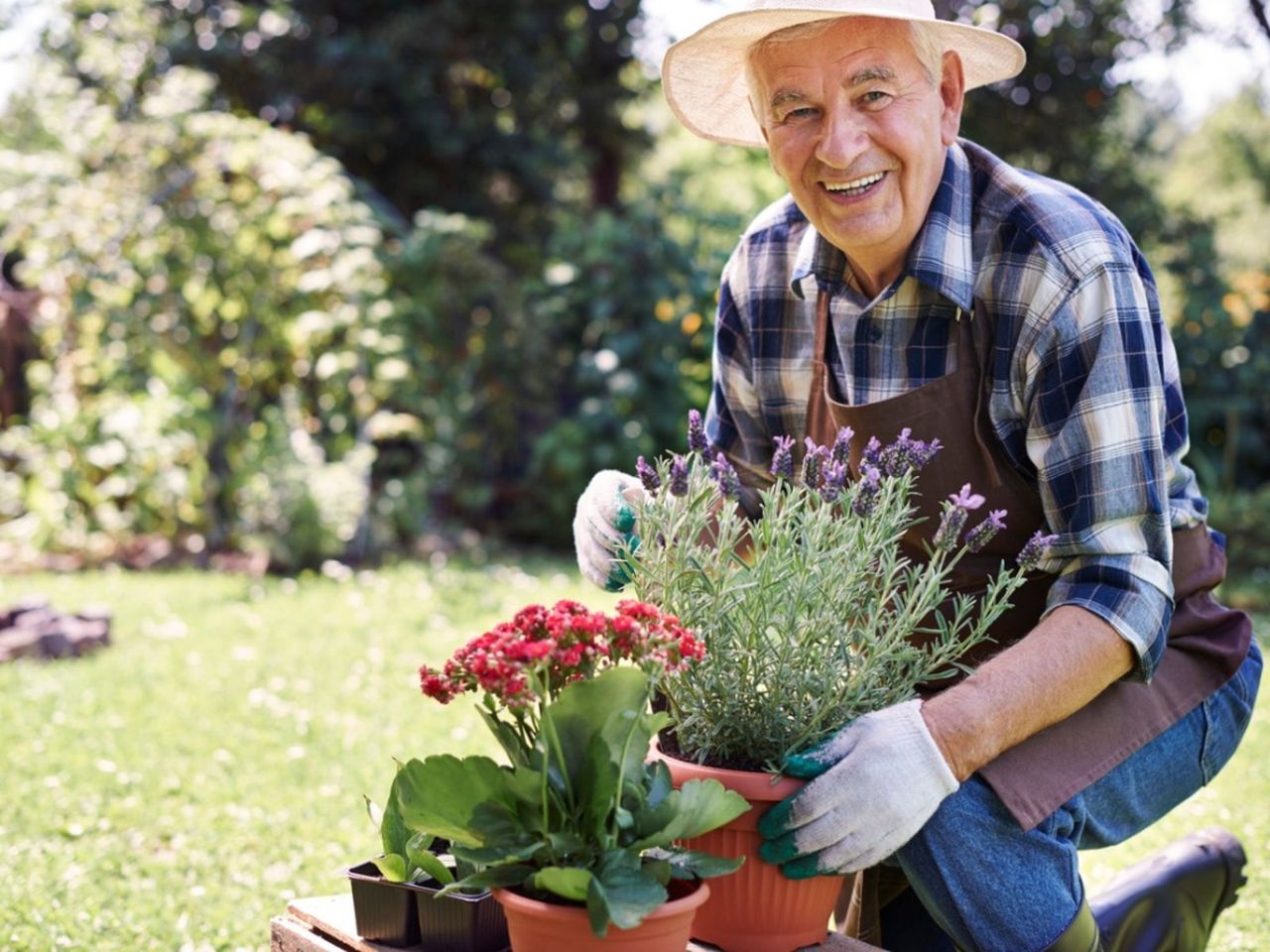 Gardener With Potted Flowers