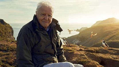 David Attenborough’s Wild Isles
